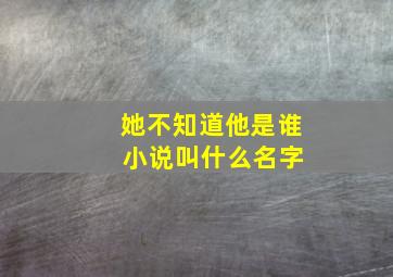 她不知道他是谁 小说叫什么名字